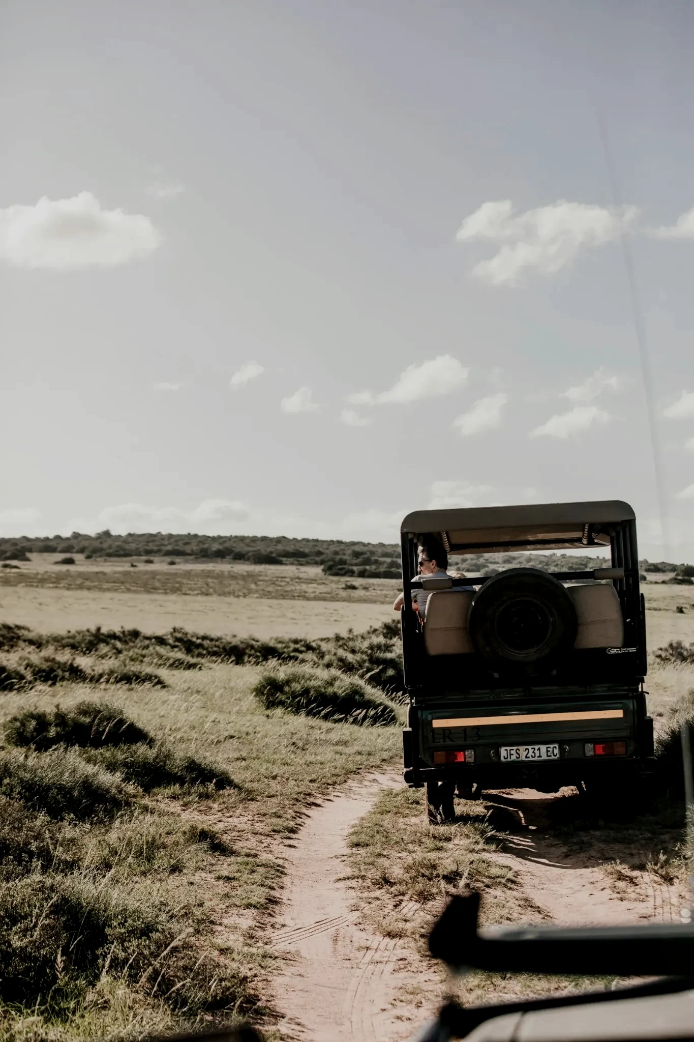 Big Five safari experience
